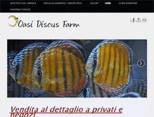 Tablet Screenshot of oasidiscus.com